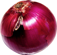 A crisp red onion